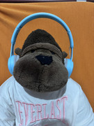LUIGINO BUSON GORILLA